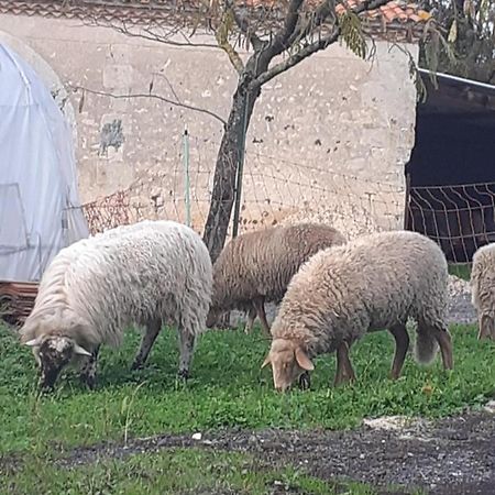 Pillac Maison De Campagne A La Ferme מראה חיצוני תמונה
