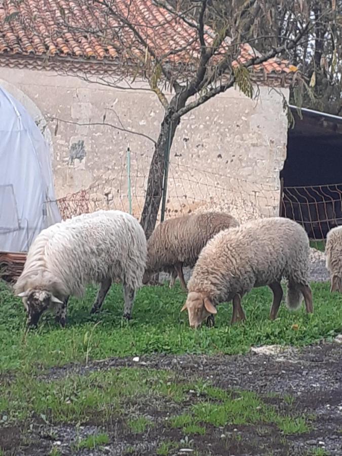 Pillac Maison De Campagne A La Ferme מראה חיצוני תמונה